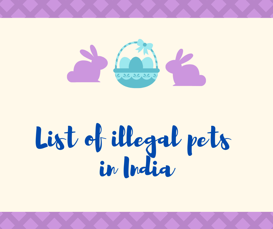 List of illegal pets in India