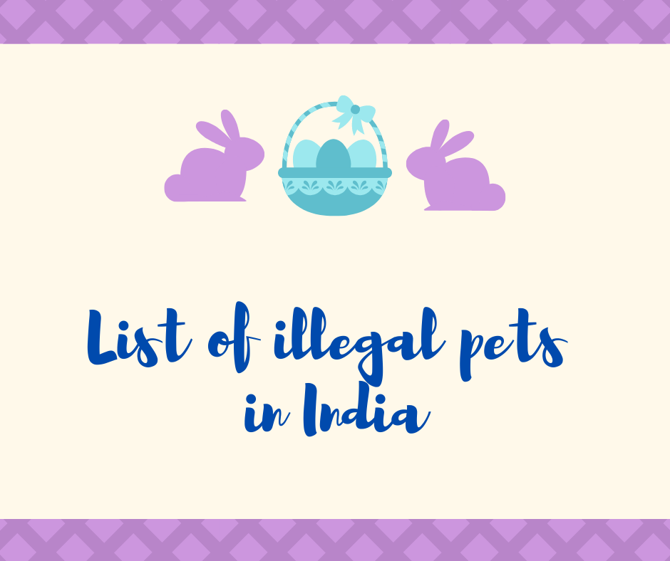 List of illegal pets in India List of illegal pets in India